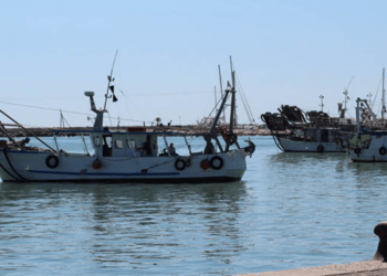 Pesca, risoluzione per le certificazioni di sostenibilità