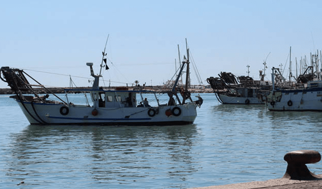 Pesca, risoluzione per le certificazioni di sostenibilità