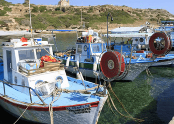 Pesca, risoluzione per le certificazioni di sostenibilità