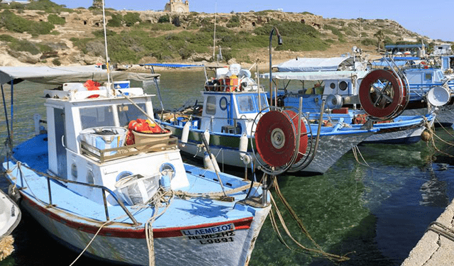 Pesca, risoluzione per le certificazioni di sostenibilità