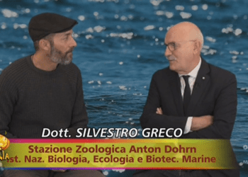 Pescatori contro Striscia la notizia