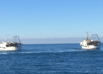 Licenze di pesca nelle acque di Guernsey