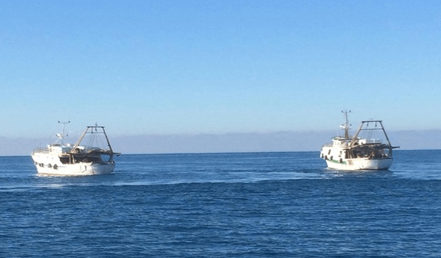 Licenze di pesca nelle acque di Guernsey