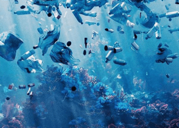 Salvamare, Viviani: "Soddisfazione per l'approvazione"