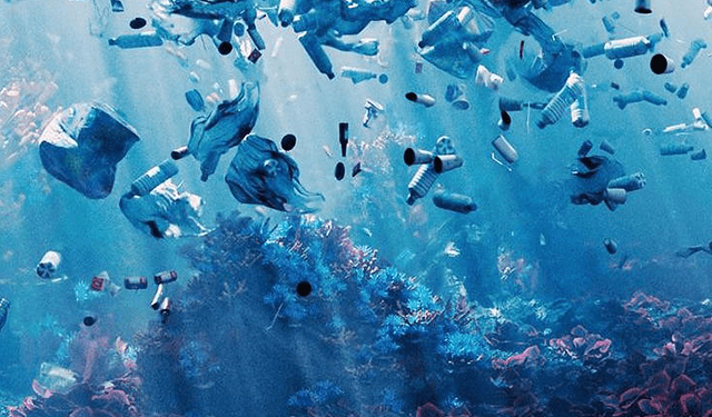 Salvamare, Viviani: "Soddisfazione per l'approvazione"