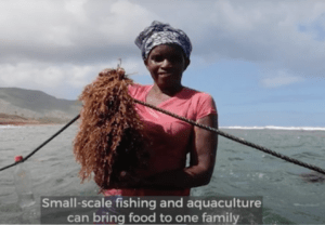 Inaugurato l'Anno Internazionale della Pesca