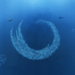 Sealogy, inaugura il sottosegretario Battistoni