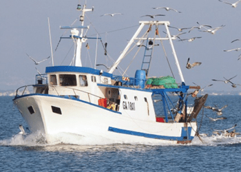 Pesca, riduzione delle giornate nel 2022