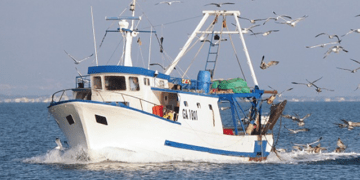 Pesca, riduzione delle giornate nel 2022