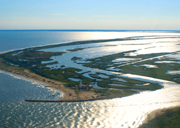 La ricchezza ittica di Goro a Sealogy