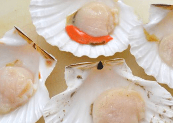 A Natale aumenta il costo delle capesante