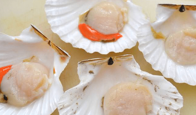 A Natale aumenta il costo delle capesante