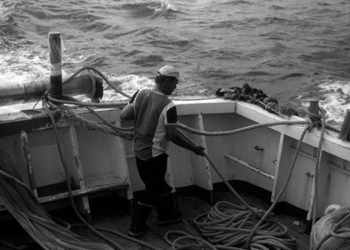 A Roma la proiezione di Centootto