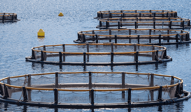 Veneto, bandi per pesca e caccia