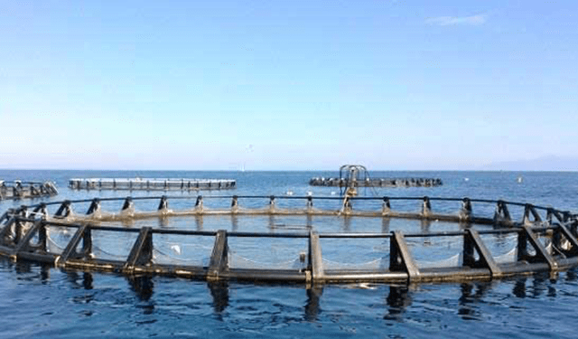 AQUAChange, un progetto per l'acquacoltura