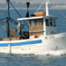 Agrifish: "Restano rischi per pescatori"