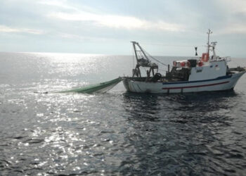 Agrifish approva le possibilità di pesca per il 2022