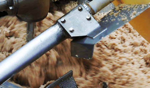 Crescono le esportazioni vietnamite di surimi