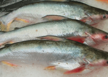 Vietnam-Russia: esportazioni in crescita