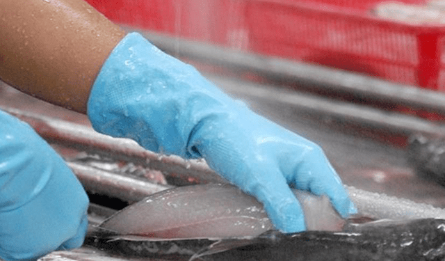 Difficoltà per le esportazioni di pangasio