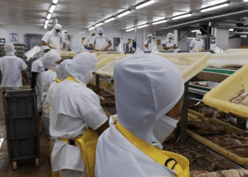 L'Ecuador espande il mercato del tonno