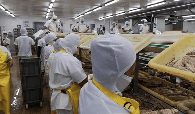 L'Ecuador espande il mercato del tonno