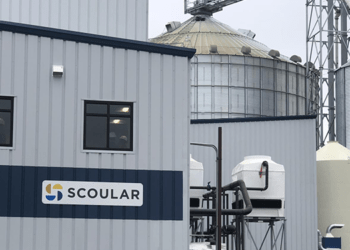 Mangimi sostenibili con proteine dell’orzo