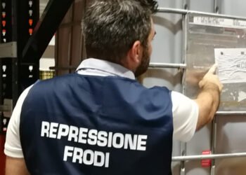 Mipaaf: Icqrf sequestra pesce privo di tracciabilità e scaduto
