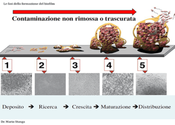 Per una corretta sanificazione nelle aziende alimentari...