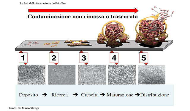 Per una corretta sanificazione nelle aziende alimentari...