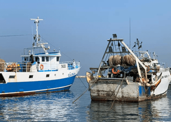 Carburanti: Alleanza delle Cooperative; welfare, flessibilità e risorse per traghettare la pesca fuori dell'emergenza