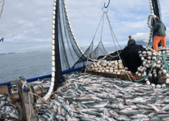 Agci-Agrital: "Segnali positivi dall'UE"