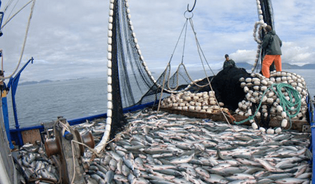 Agci-Agrital: "Segnali positivi dall'UE"