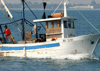 Ok all'accordo Ue-Regno Unito sulla pesca