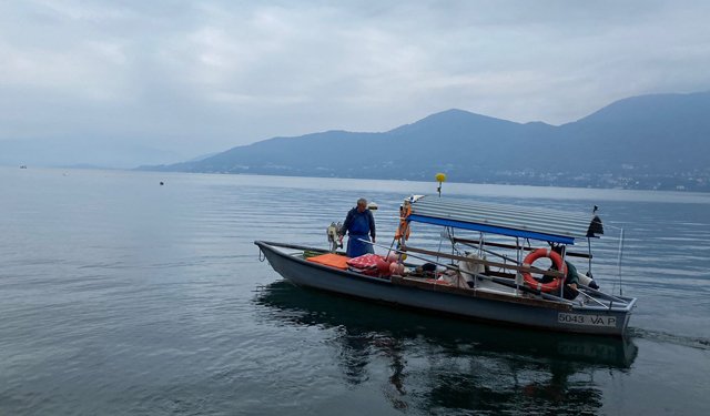 Sodexo, nei ristoranti scolastici arriva il menù speciale con il pesce del Lago Maggiore