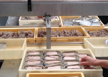 Tonno in scatola, cresce l'importazione UE