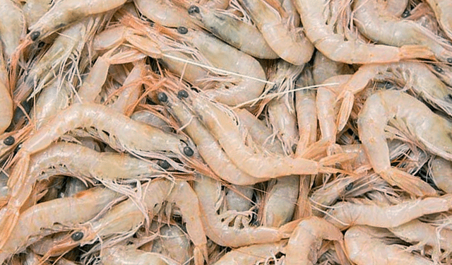 Vietnam-Russia: esportazioni in crescita