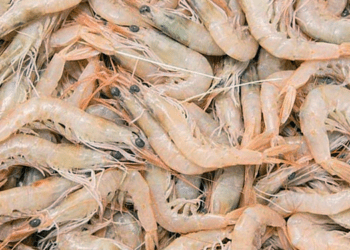 Vietnam-Russia: esportazioni in crescita