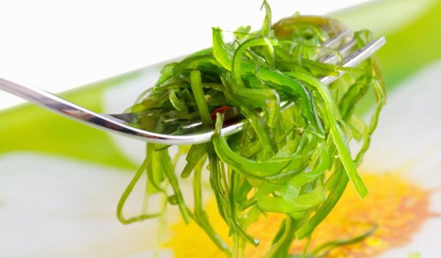 In arrivo la coltivazione domestica di alghe