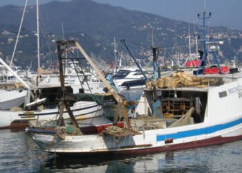 Indennità fermo pesca: attese e disattese per il futuro