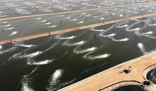 L'Arabia Saudita punta ad aumentare la produzione ittica