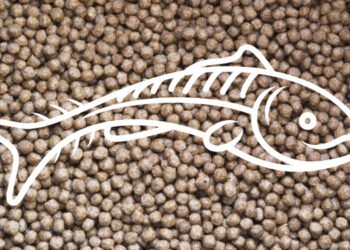 La produzione mondiale di mangime per pesci è aumentata del 3,7%