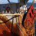 L'industria europea della pesca di fondo fa fronte unito a Bruxelles