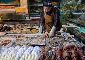 Nel 2022 i prezzi del pesce in Cina rimarranno elevati