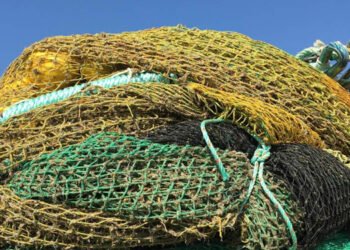 Pesca a strascico, se ben gestita è sostenibile