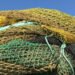 Pesca a strascico, se ben gestita è sostenibile