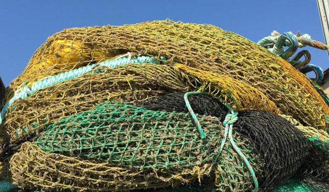 Pesca a strascico, se ben gestita è sostenibile