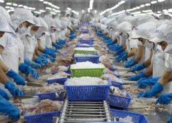 Vietnam, aumentato del 12% il valore delle esportazioni in Europa