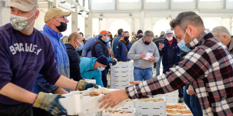 Asta del pesce di Chioggia