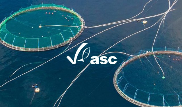 ASC. Tavola rotonda sul futuro dell'acquacoltura